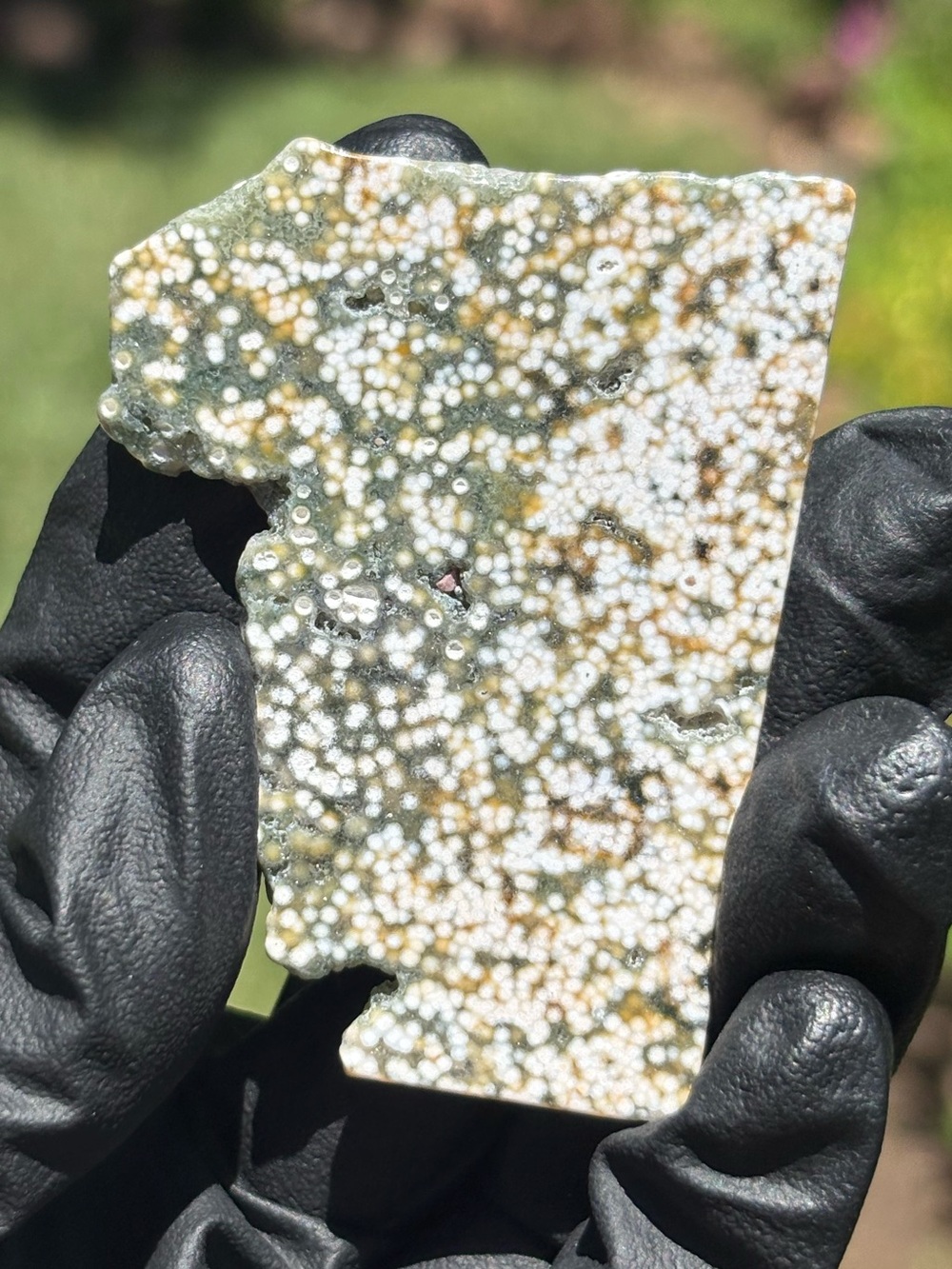 Ocean Jasper Crystal Slab - Orbicular Jasper - Polished Sea Jasper